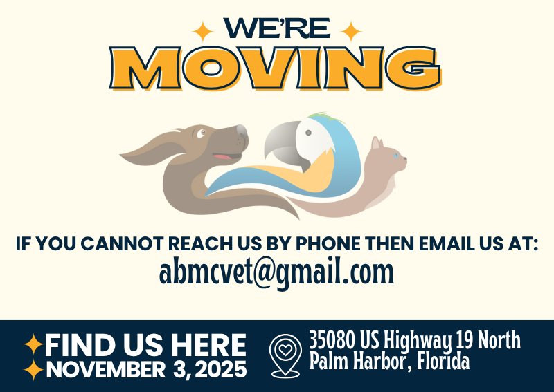 Carousel Slide 1: Learn more >>