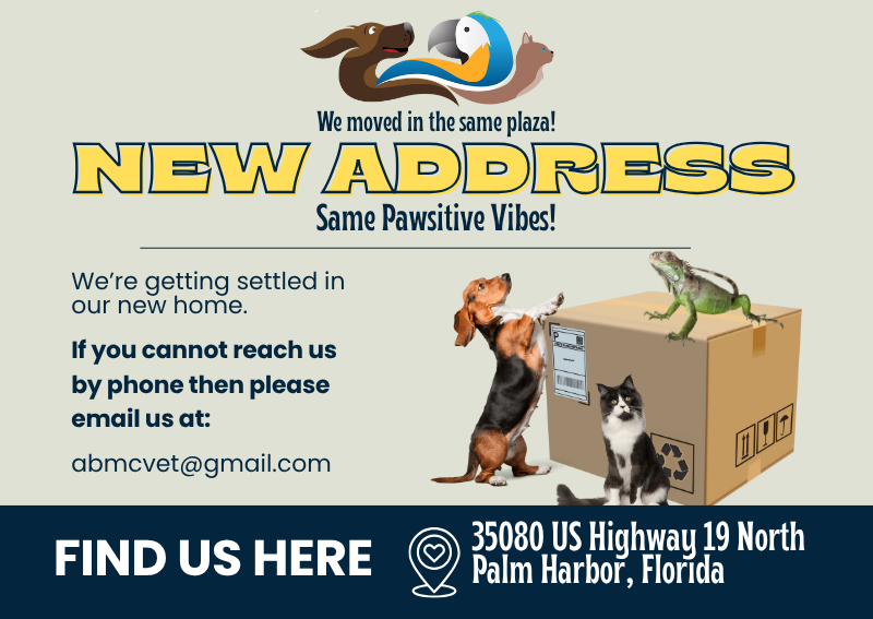 Carousel Slide 1: Learn more >>