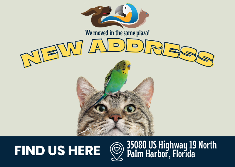 Carousel Slide 1: Learn more >>