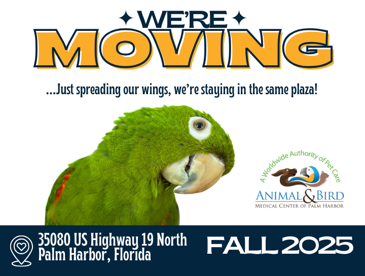 We’re Moving to a New Location!