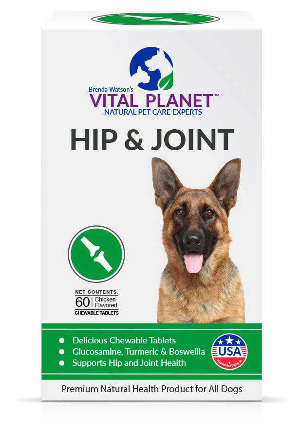 Hip and Joint